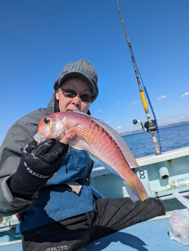 アマダイ(アカアマダイ)