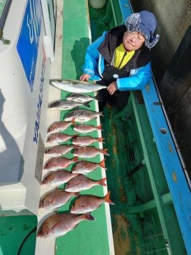 マダイ・クロダイ・ワラサ(ブリ)