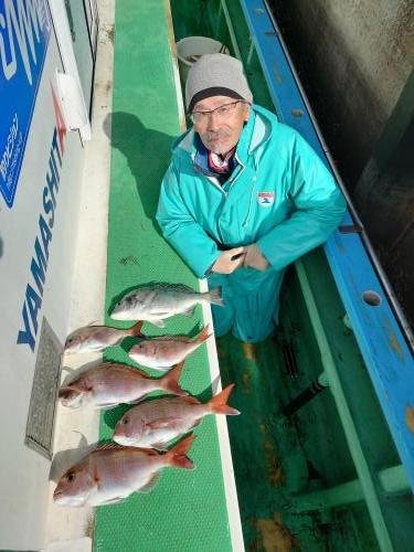 マダイ・クロダイ