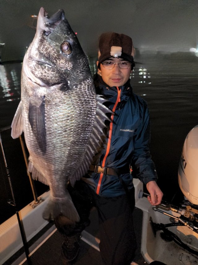 チヌ(クロダイ)