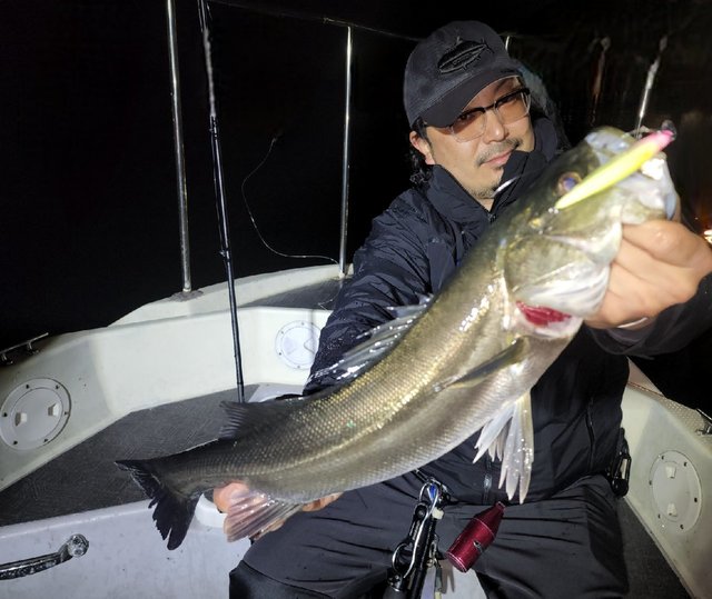 シーバス(スズキ)