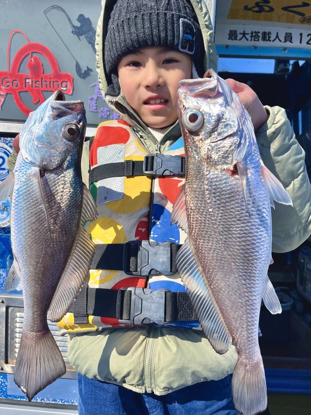 イシモチ(シログチ)