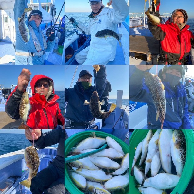 ショウサイフグ