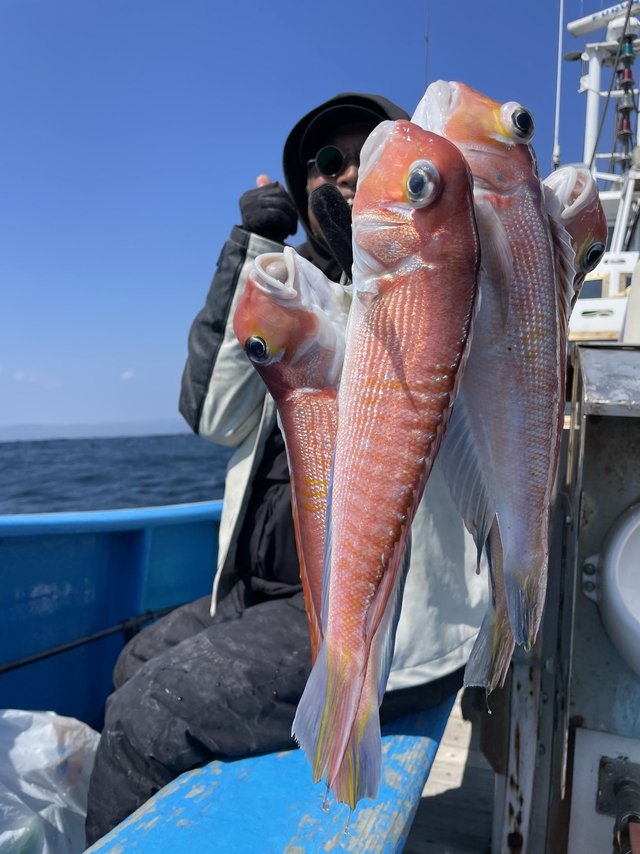 アマダイ(アカアマダイ)