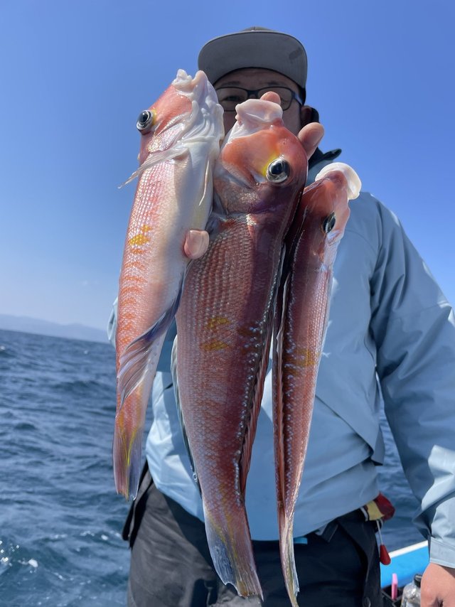 アマダイ(アカアマダイ)