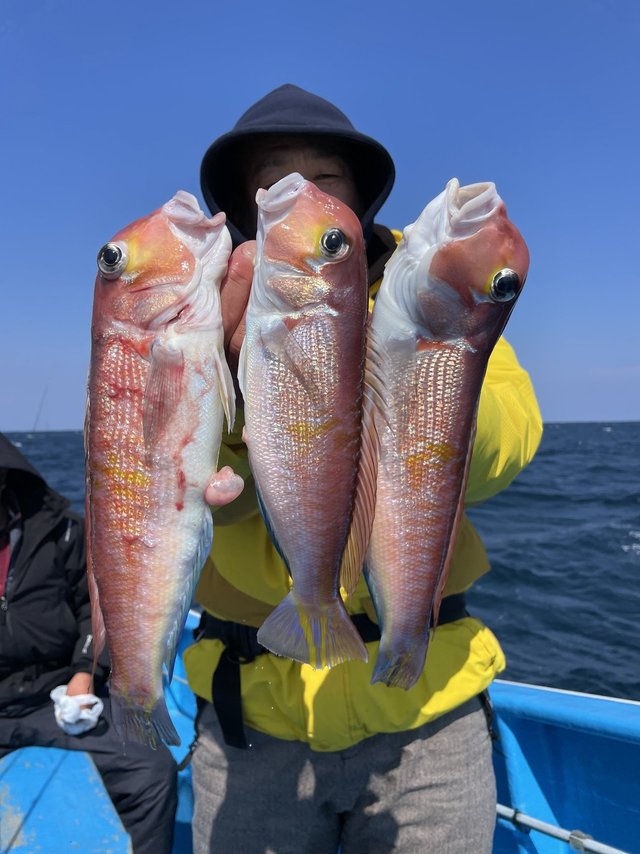 アマダイ(アカアマダイ)