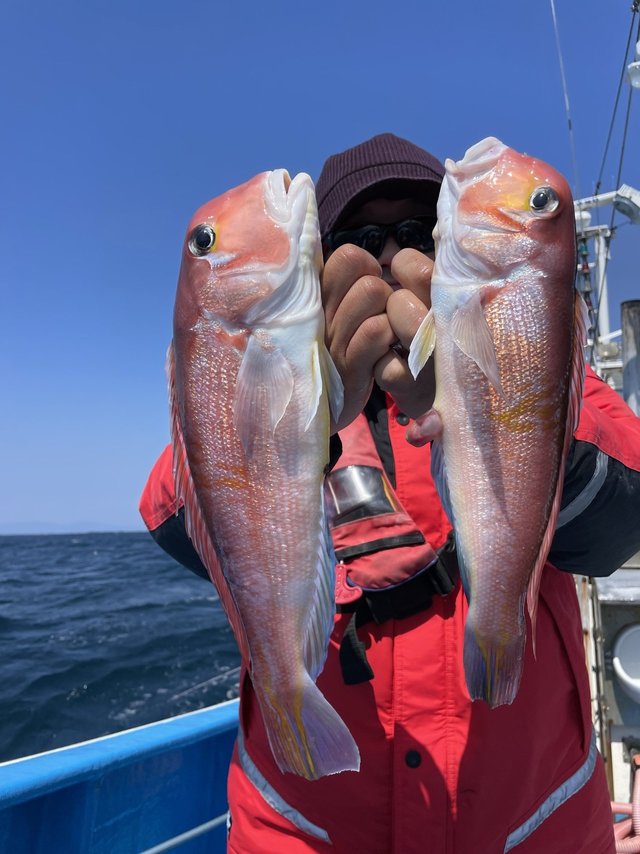 アマダイ(アカアマダイ)