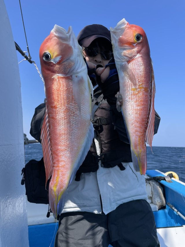 アマダイ(アカアマダイ)