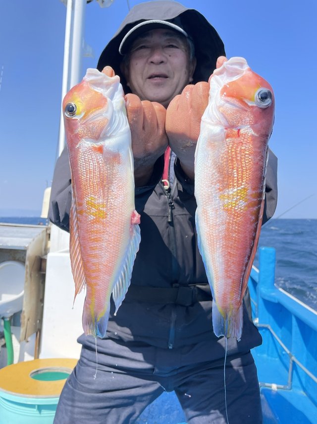 アマダイ(アカアマダイ)