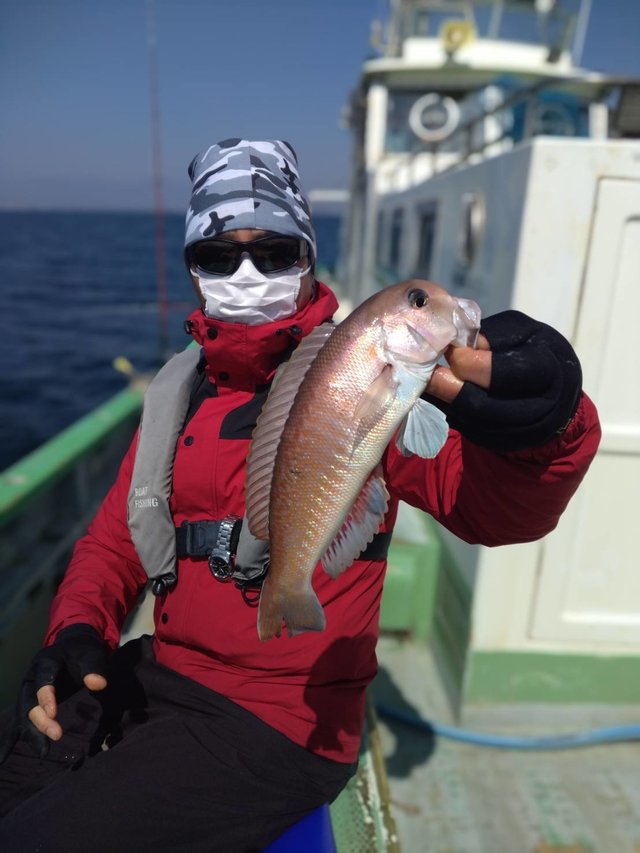 アマダイ(アカアマダイ)