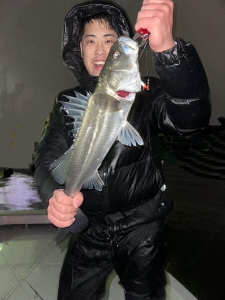 シーバス(スズキ)