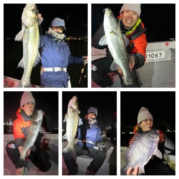 シーバス(スズキ)