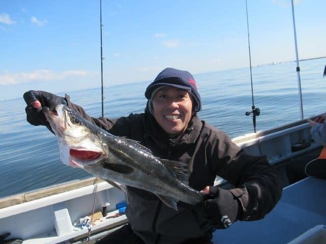 シーバス(スズキ)