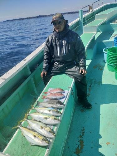 マダイ・クロダイ・イナダ(ブリ)