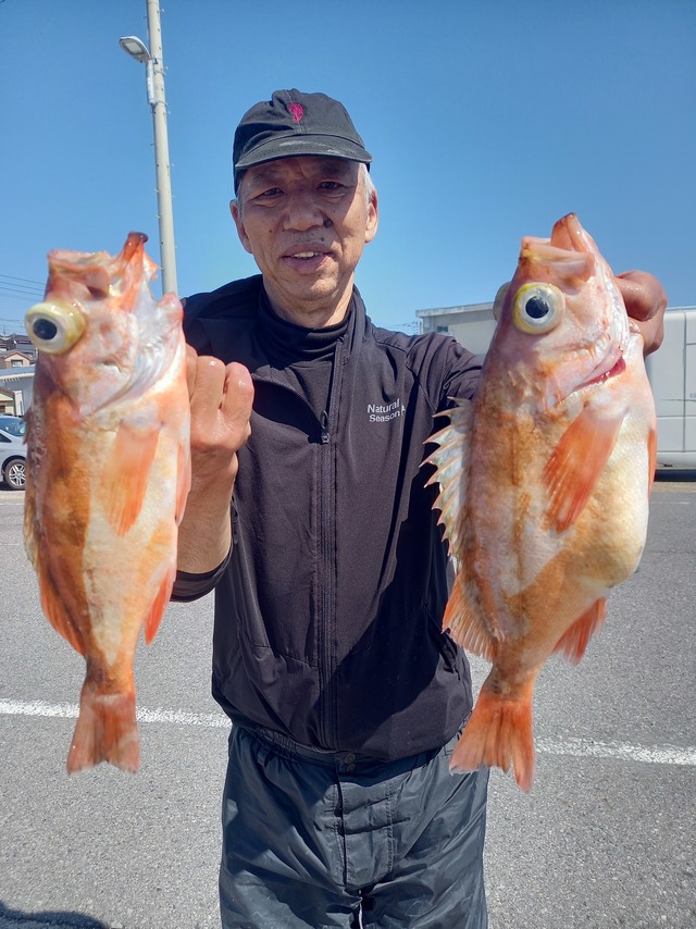 オキメバル(ウスメバル)