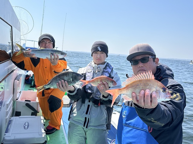 マダイ・クロダイ・イナダ(ブリ)