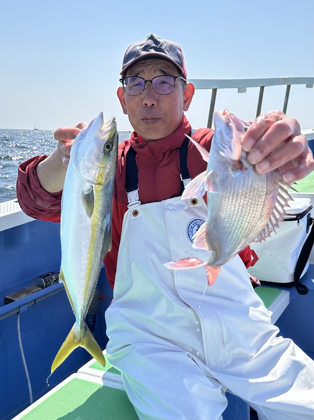 マダイ・イナダ(ブリ)