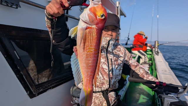 アマダイ(アカアマダイ)