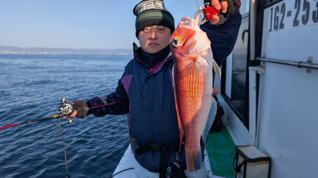 アマダイ(アカアマダイ)