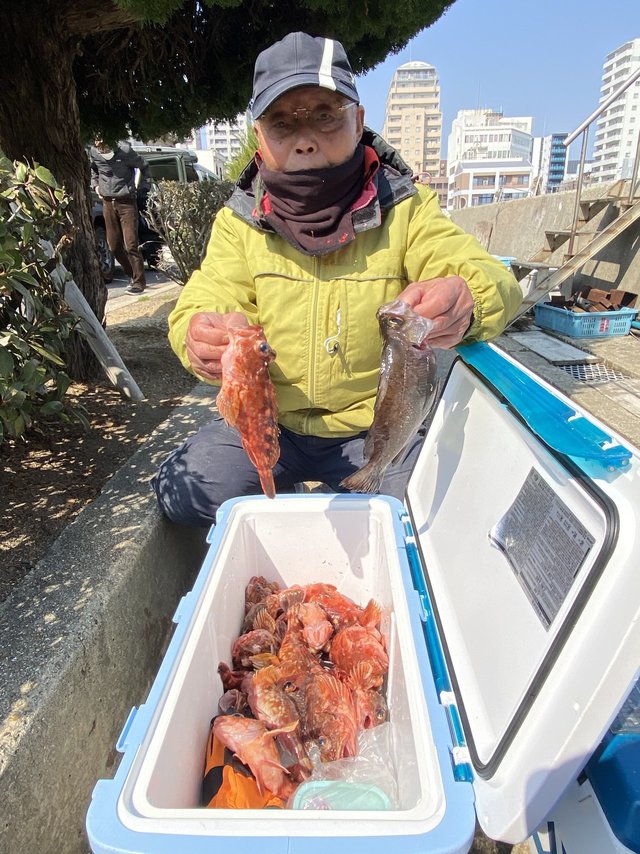 ガシラ(カサゴ)・メバル