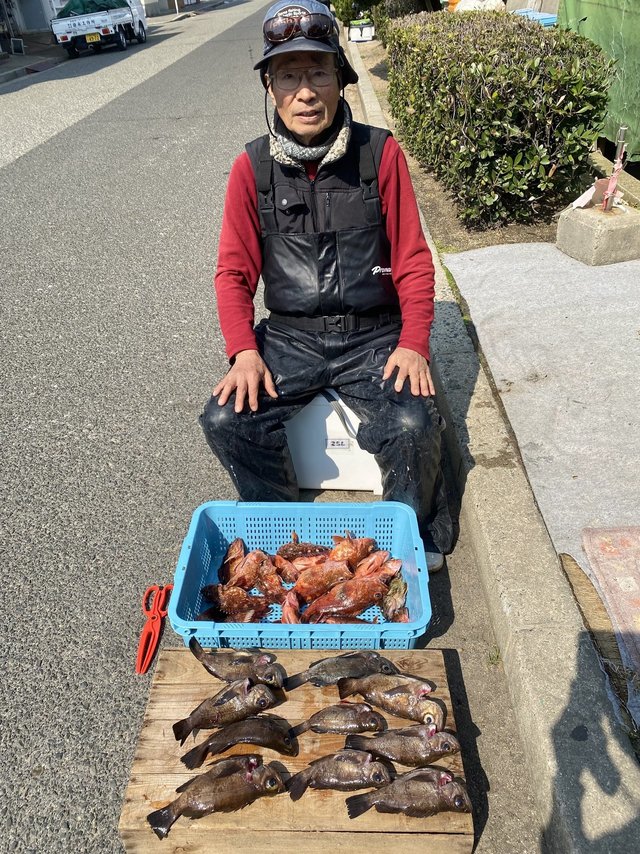 ガシラ(カサゴ)・メバル