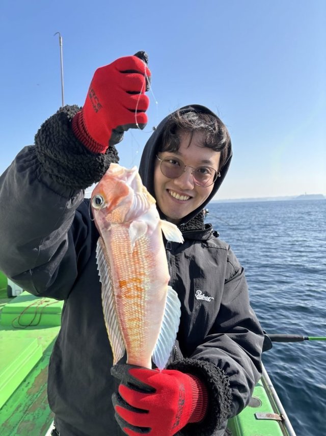 アマダイ(アカアマダイ)