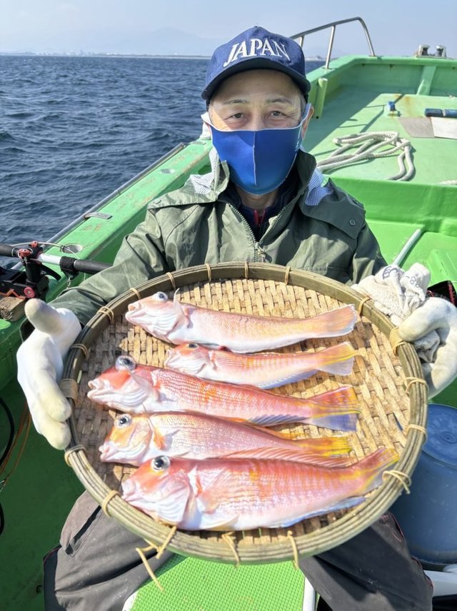 アマダイ(アカアマダイ)