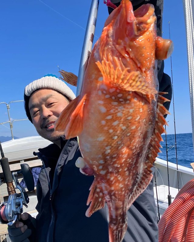 ウッカリカサゴ