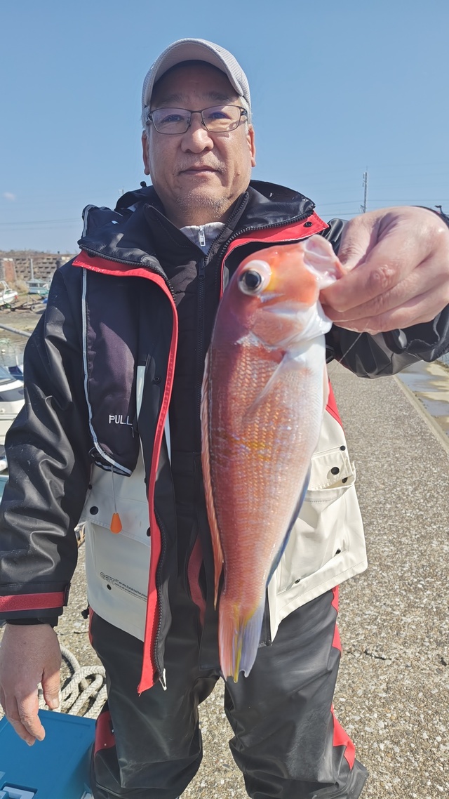 アマダイ(アカアマダイ)