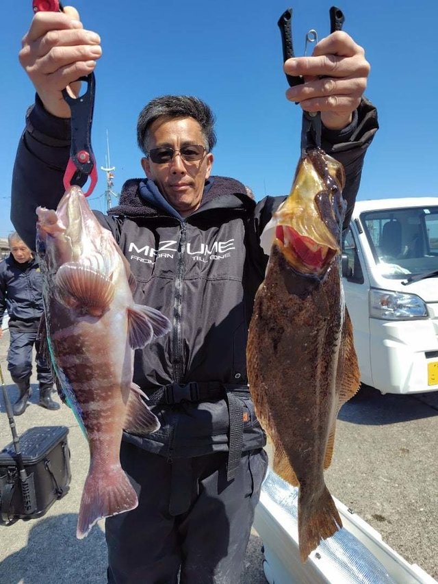 ヒラメ・ハタ(マハタ)