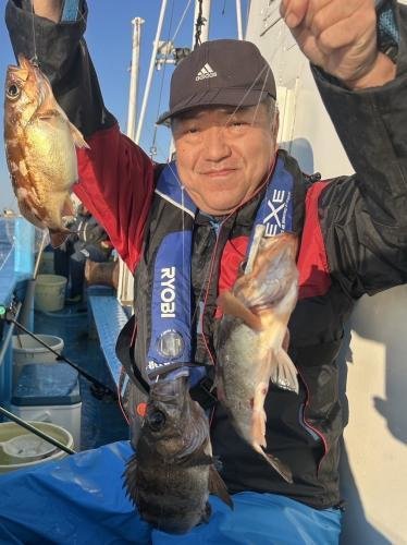 ソイ(キツネメバル)