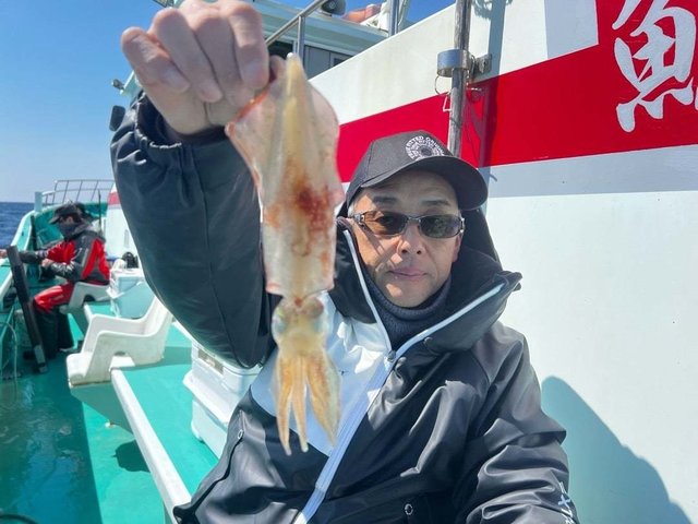 マルイカ(ケンサキイカ)