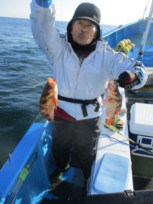 メバル(ウスメバル)