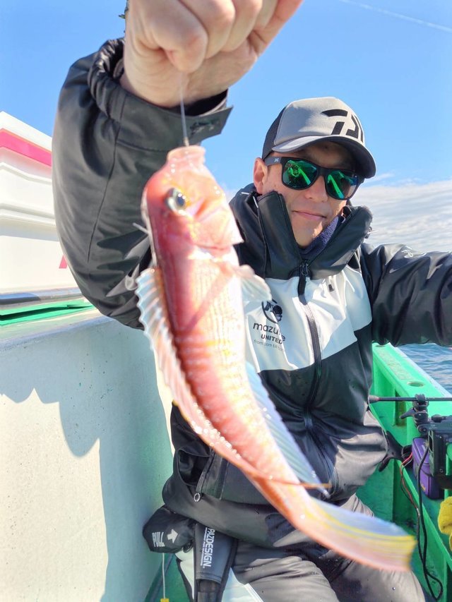 アマダイ(アカアマダイ)