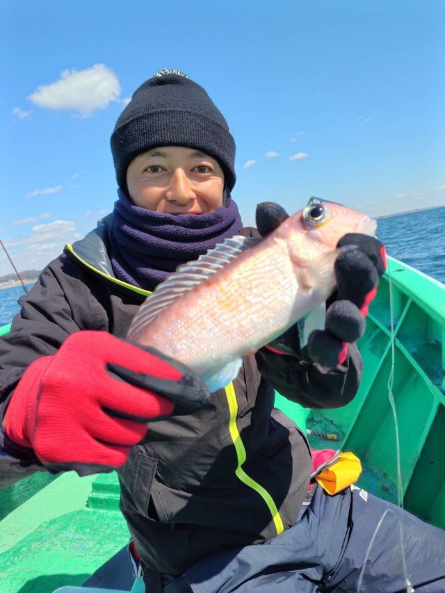 アマダイ(アカアマダイ)