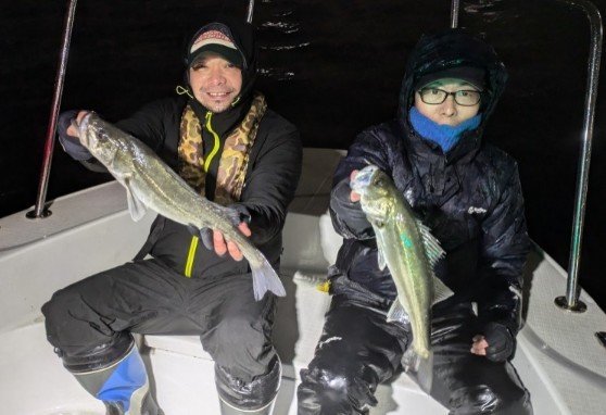 シーバス(スズキ)