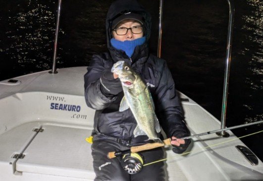 シーバス(スズキ)