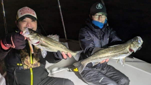 シーバス(スズキ)