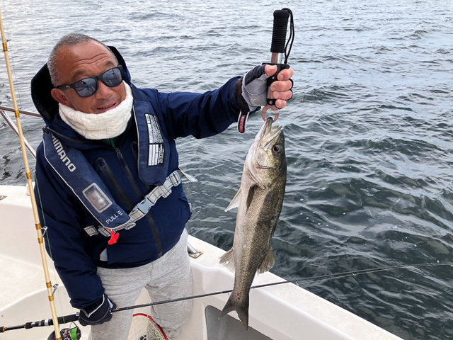 シーバス(スズキ)