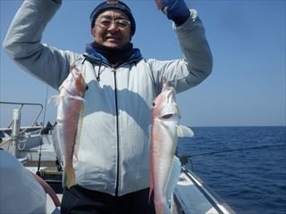 アマダイ(アカアマダイ)