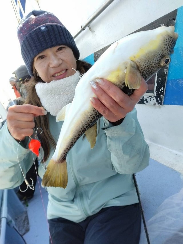 ショウサイフグ