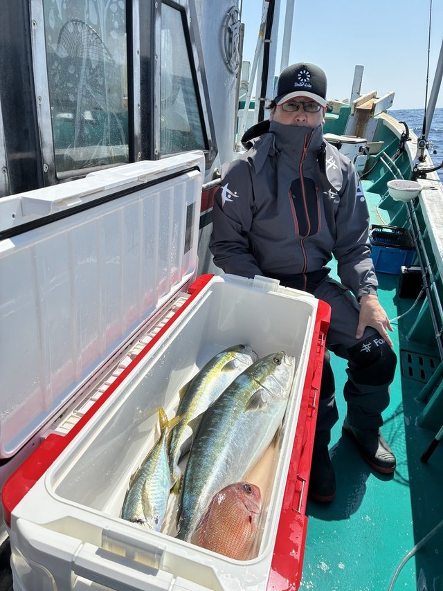 マダイ・ブリ・メジロ(ブリ)