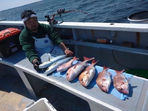 マダイ・イナダ(ブリ)