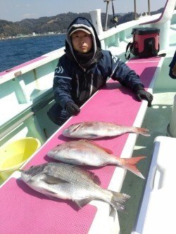 マダイ・クロダイ