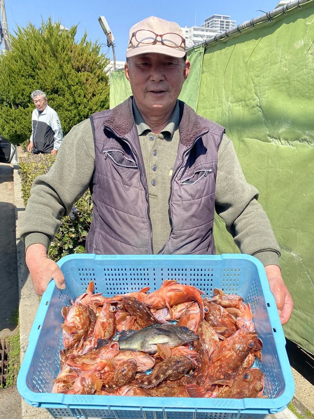 ガシラ(カサゴ)・メバル