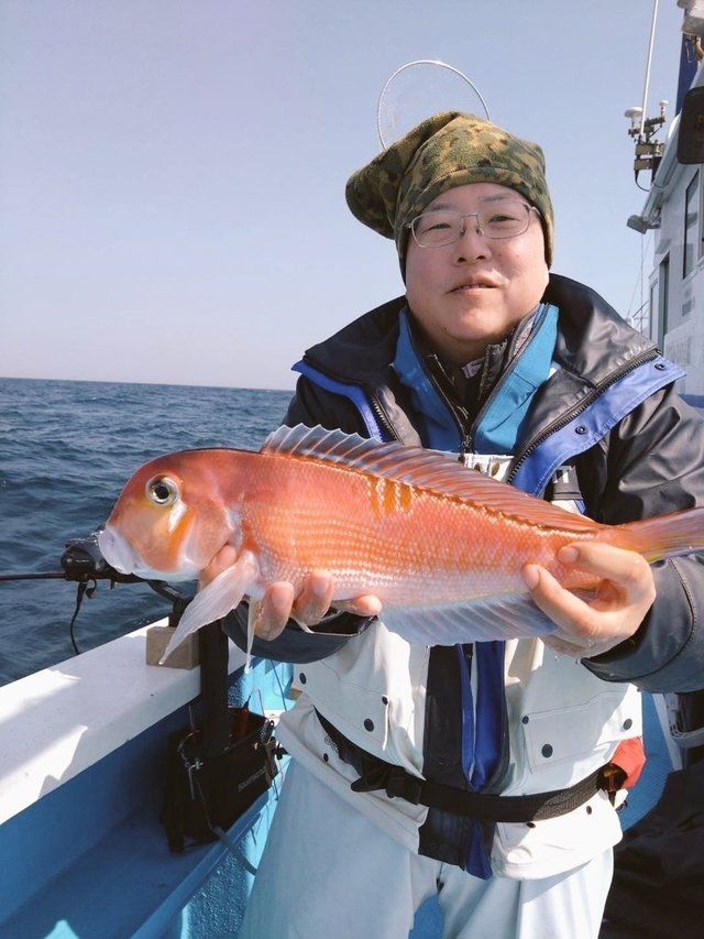 アマダイ(アカアマダイ)