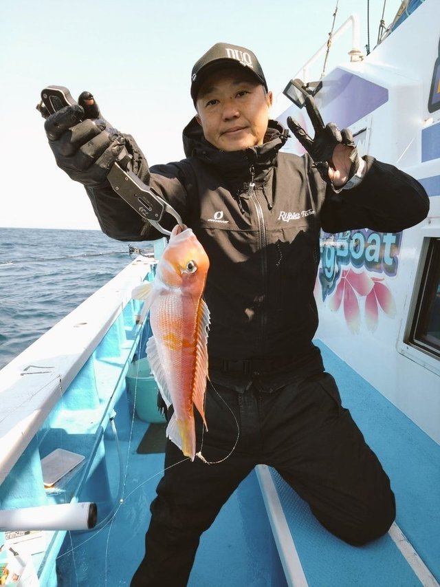 アマダイ(アカアマダイ)