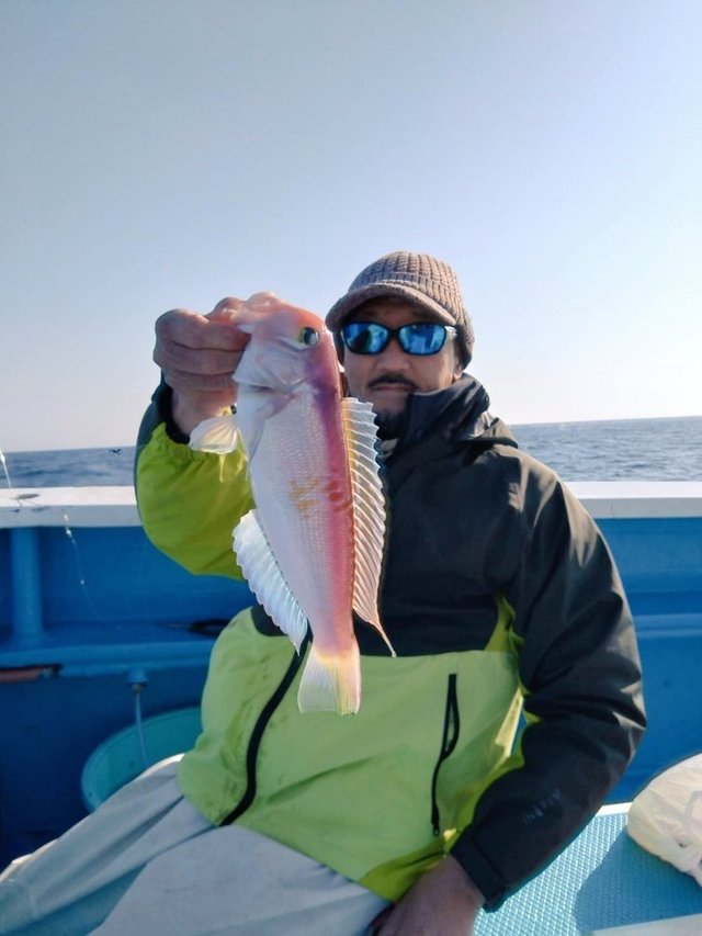 アマダイ(アカアマダイ)