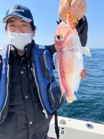 アマダイ(アカアマダイ)