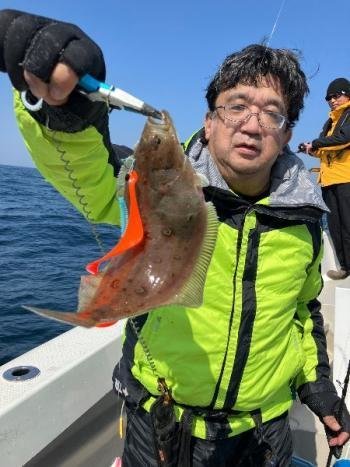 ガンゾウ(ガンゾウビラメ)